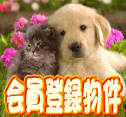 ʐVssʈɓސij[Vgjsw Ìˌ 3280~