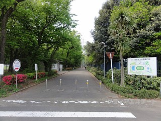 さいたま水上公園