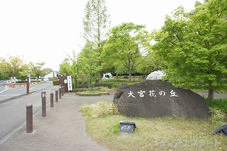 大宮花の丘農林公園